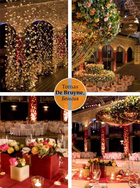 Fleur d'Orange - Tomas De Bruyne